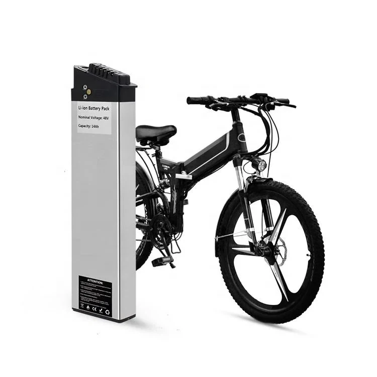 48V 1000W EBIKE batéria