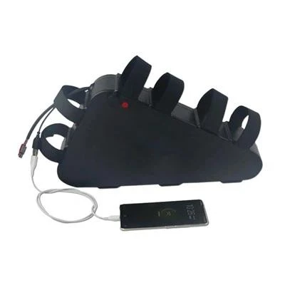 52V 30AH EBIKE batéria