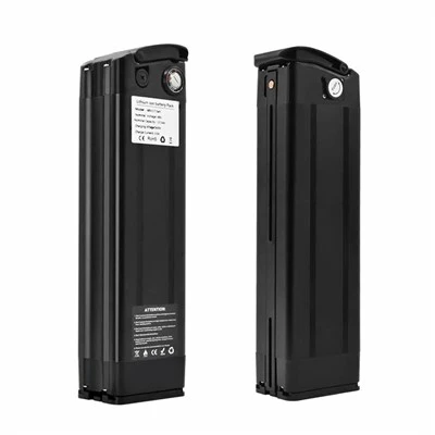 Silver Fish Electric Bicycle Battery suppliers